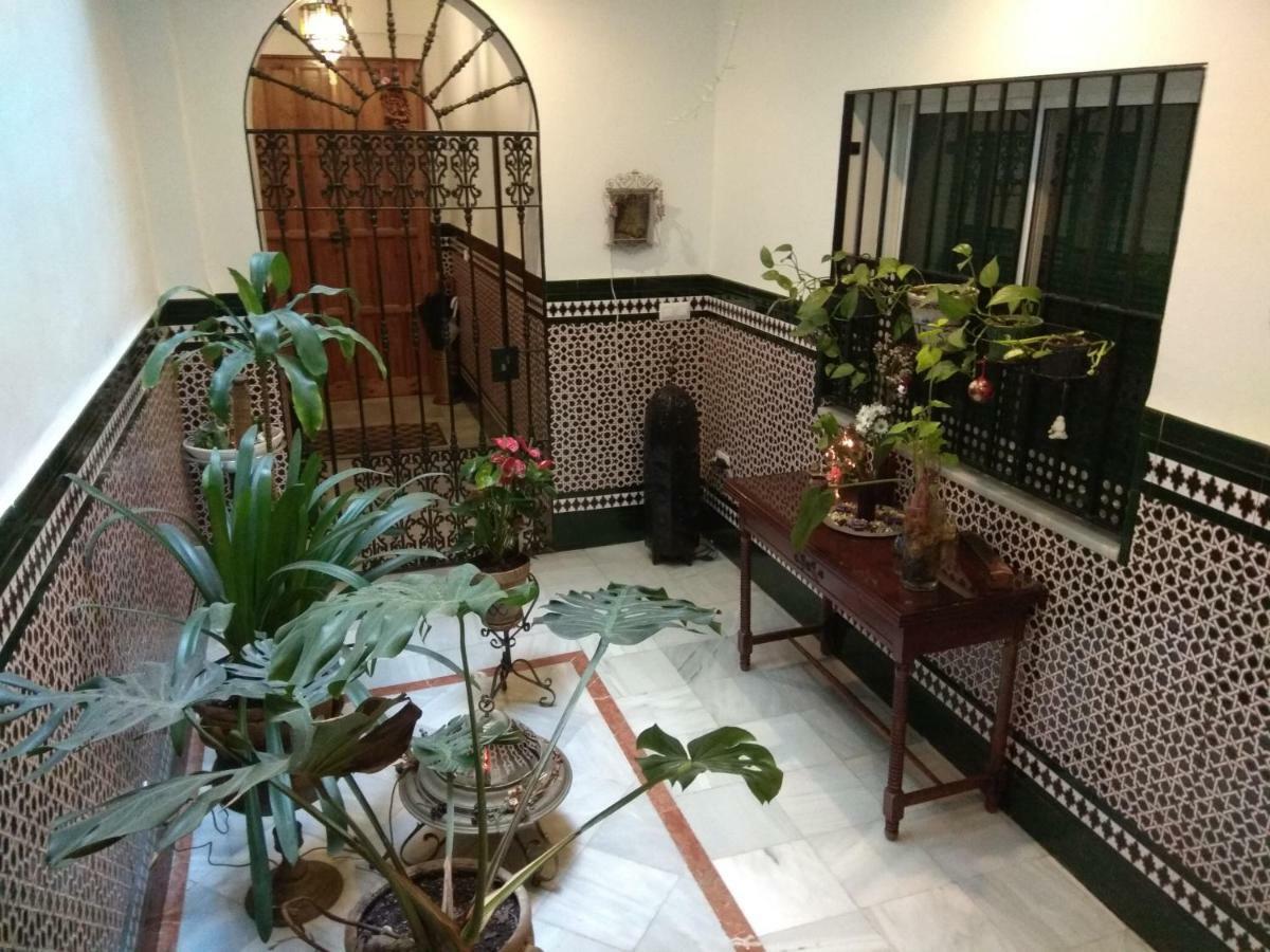 Apartament Oasi Macarena Sewilla Zewnętrze zdjęcie