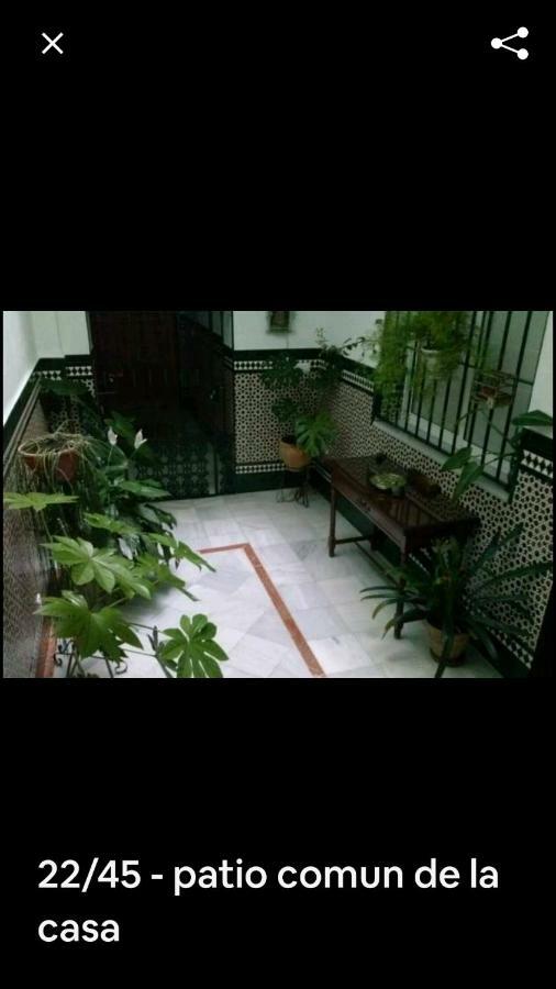 Apartament Oasi Macarena Sewilla Zewnętrze zdjęcie
